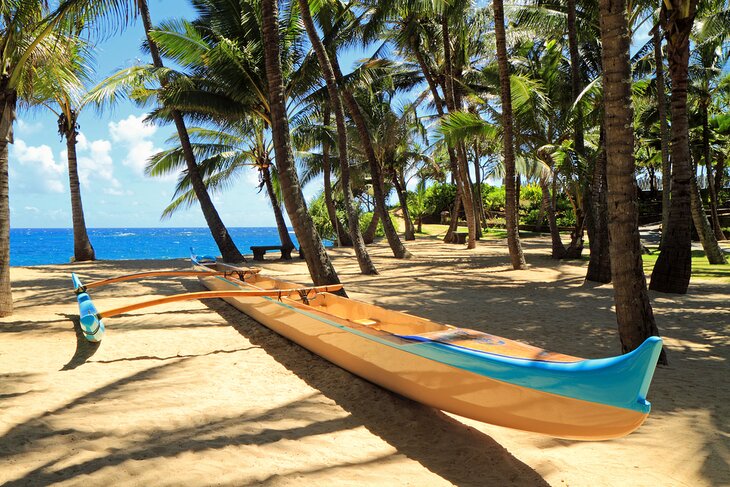 An outrigger canoe on shore