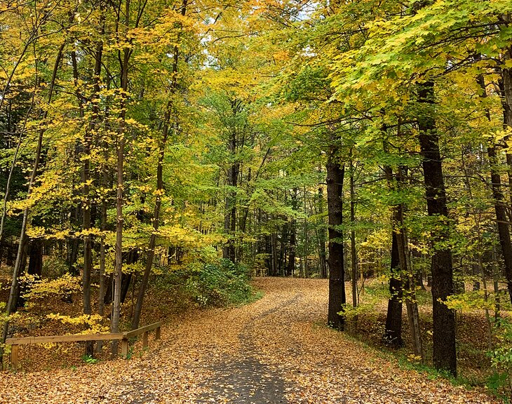 Mount Tremper Trail in fall