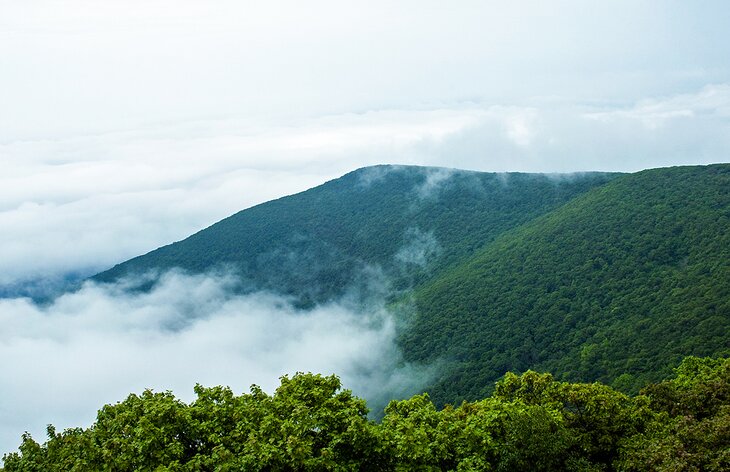 Overlook Mountain Trail