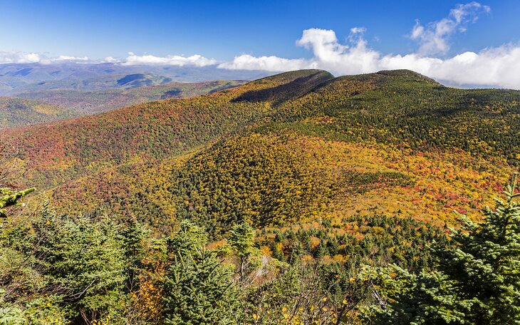 View from Slide Mountain Trail