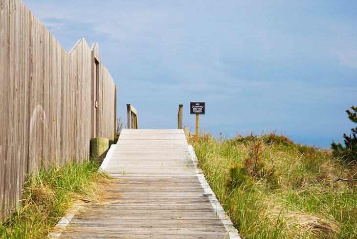 Boardwalk to Cherry Grove Beach