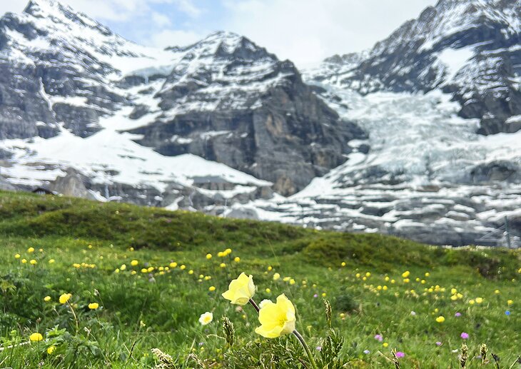 Senderismo en Grindelwald: encontrar el encanto del sendero en los Alpes suizos