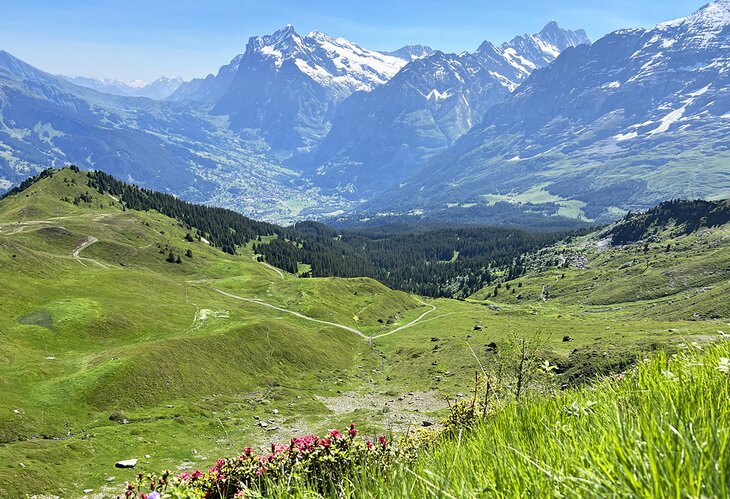 View along the Panorama Trail