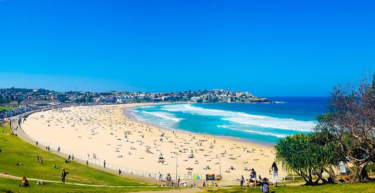 Bondi Beach