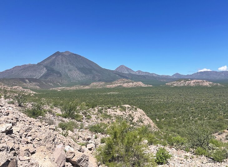 Desert scenery in Baja