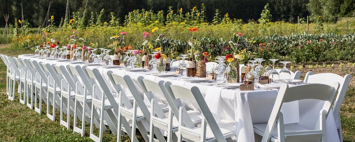 Outdoor dining in a field