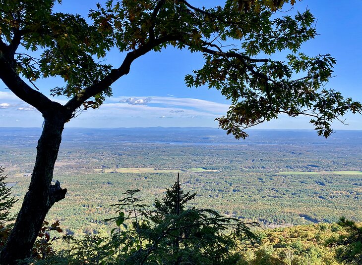 View from the Escarpment Trail