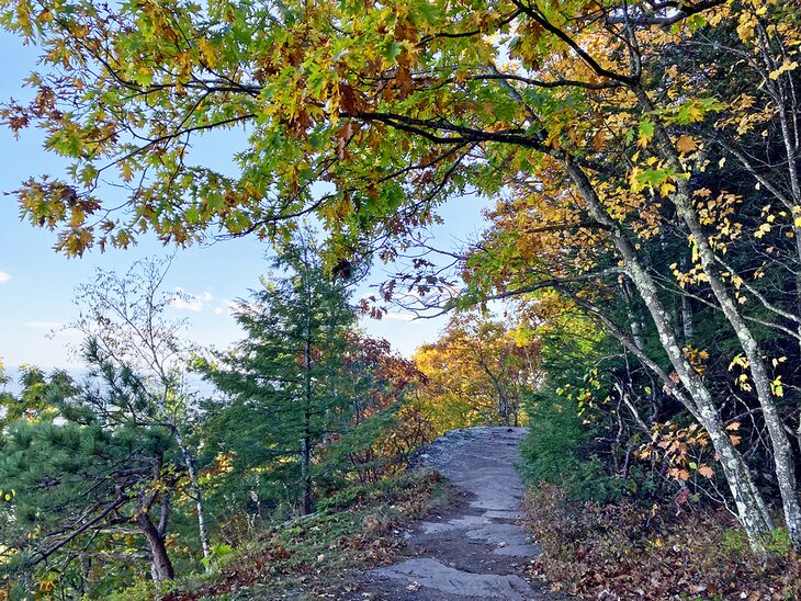 Escarpment Trail