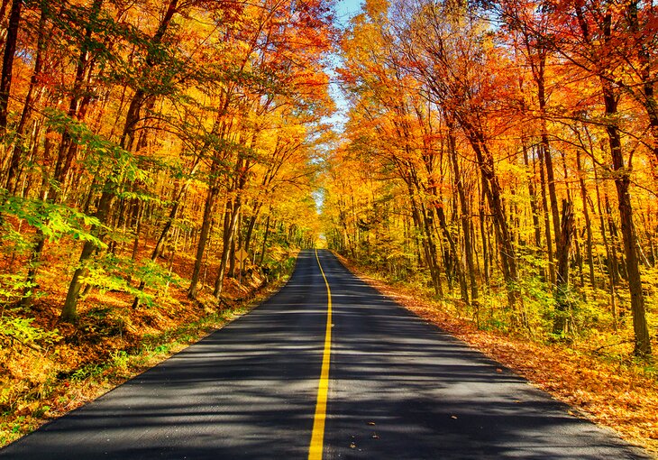 Las mejores formas de disfrutar de los lagos Muskoka, Ontario