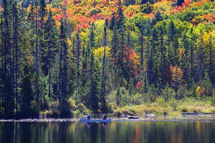 October in Algonquin Provincial Park, Ontario, Canada