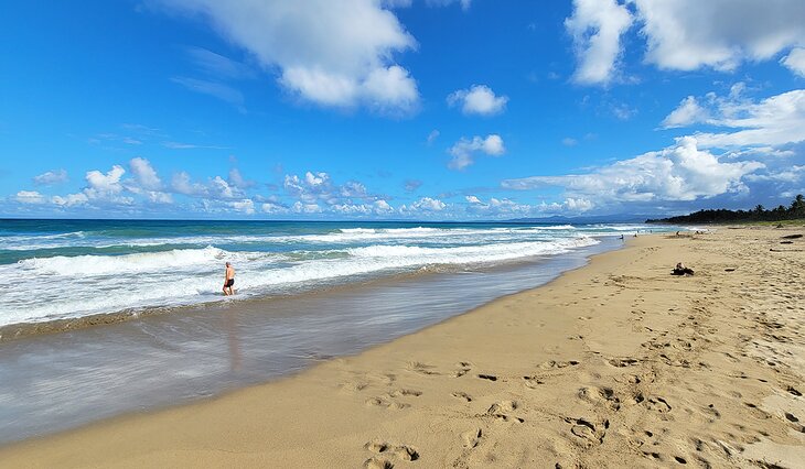 A beach in Cabarete