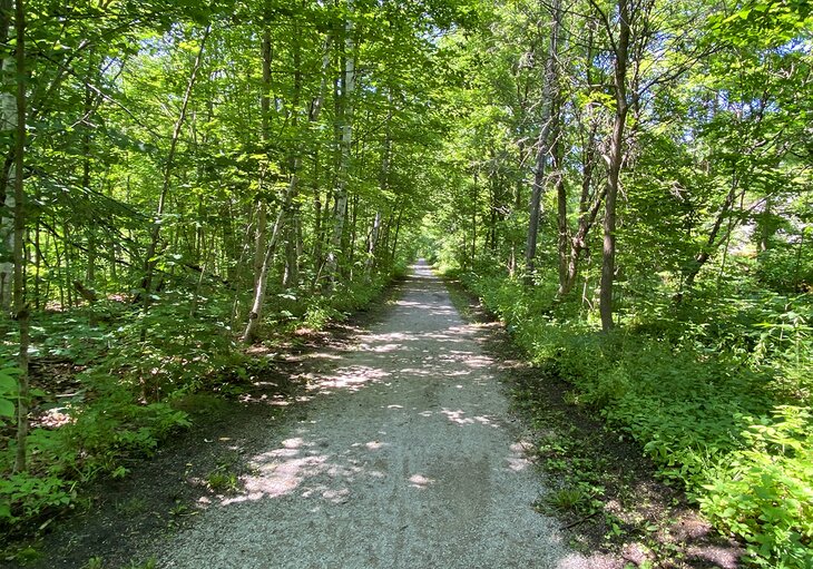 Muskoka Wharf and Lake Muskoka section of trail