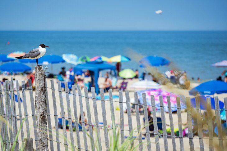 Rehoboth Beach, Delaware