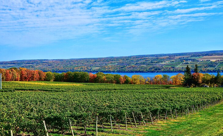 Seneca Lake