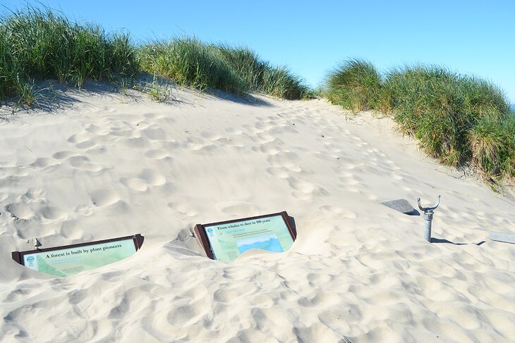 Oregon Dunes Day-Use Area