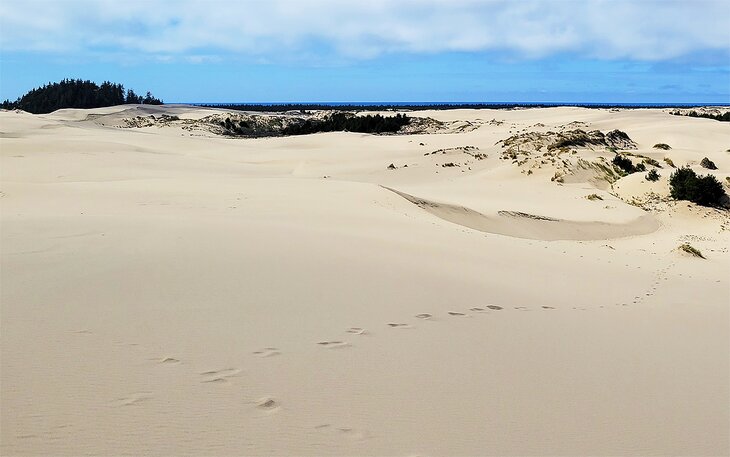 Oregon Dunes National Recreation Area