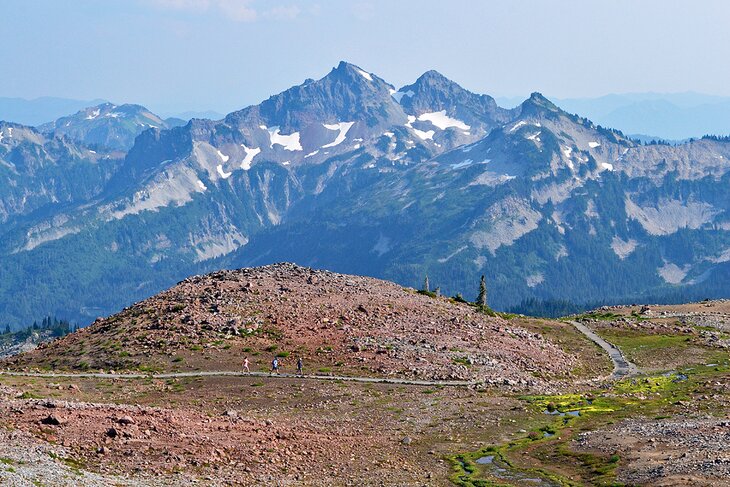 Una guía para visitantes del paraíso en el Parque Nacional Monte Rainier