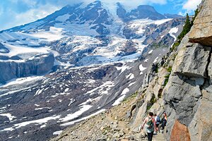 A Visitor's Guide to Paradise at Mount Rainier National Park