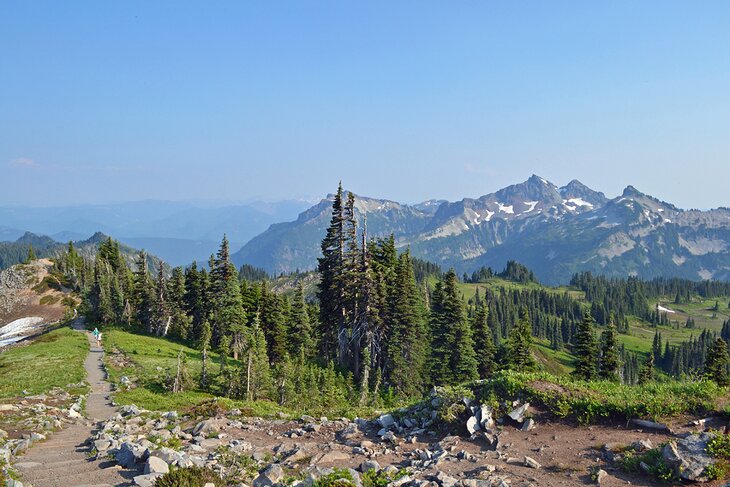 The trail and distant mountains in Paradise