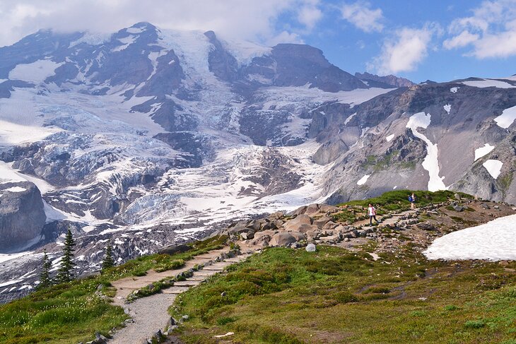 Una guía para visitantes del paraíso en el Parque Nacional Monte Rainier