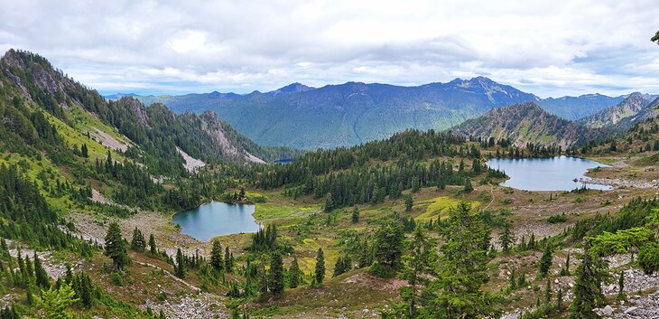 Seven Lakes Basin, Olympic National Park