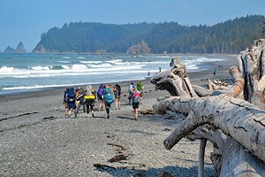 Explore Olympic National Park Without a Car