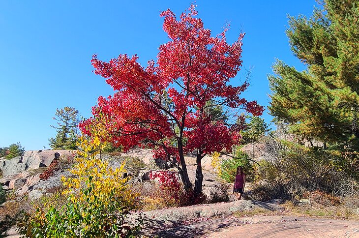 Author Lana Law on the Chikanishing Creek hiking trail