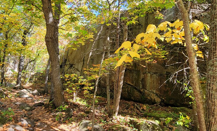 The Chikansishing Creek hiking trail