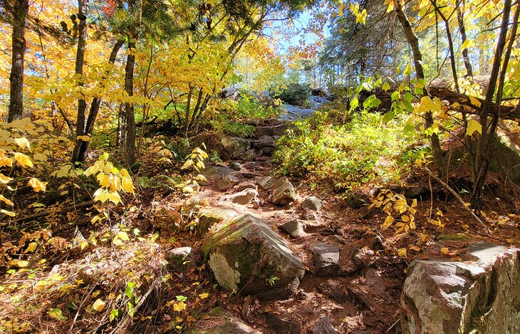 Hilly terrain on the Chikanishing Creek trail