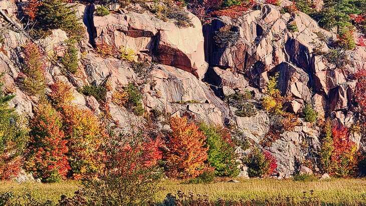 Cliff wall near the start of the Cranberry Bog hike