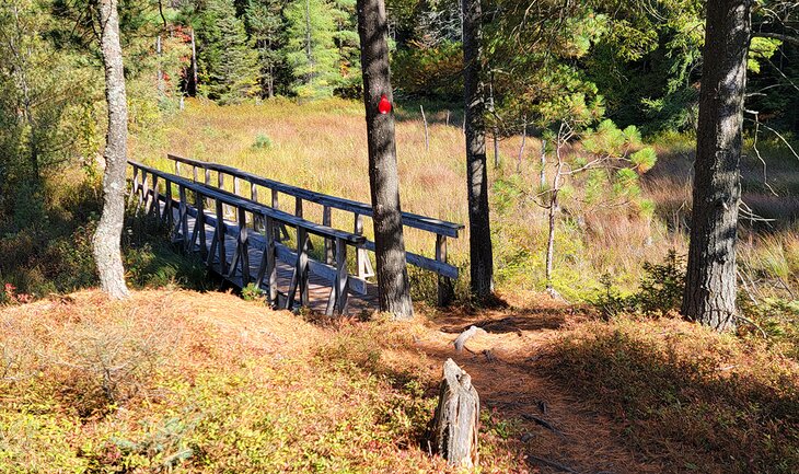 Walkway on the Lake of the Woods Trail