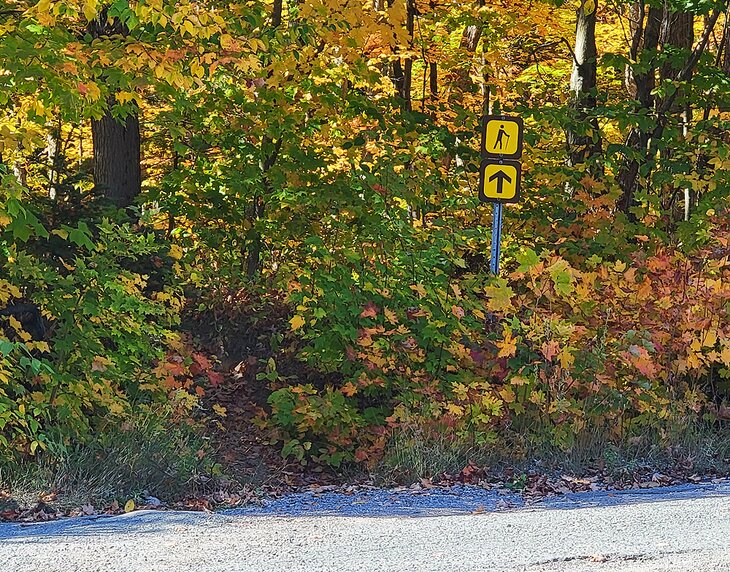 Trailhead across the road from the parking lot