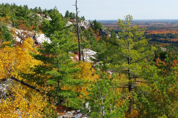 View from the Crack hiking trail