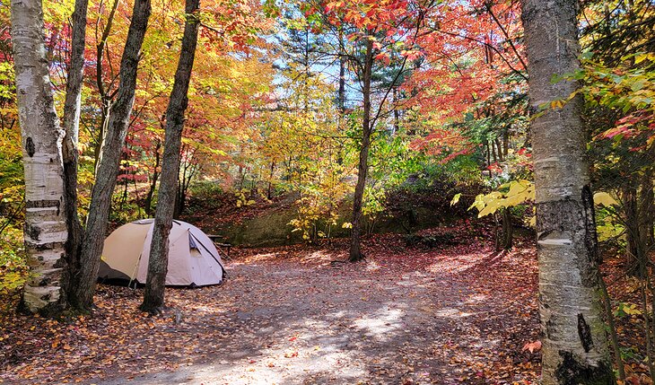 A campsite in section A