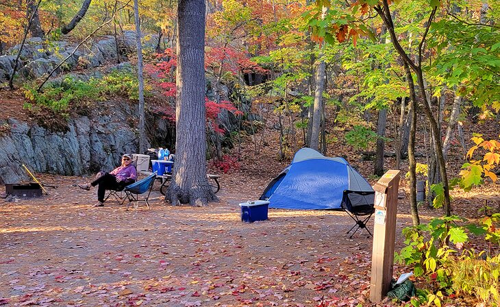 Michael Law at a campsite in section D 