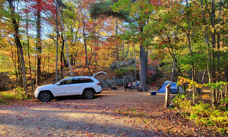 Author Lana Law's campsite at Killarney Provincial Park