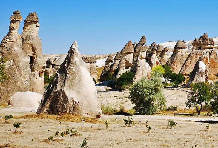 Fairy Chimneys of Paşabağı