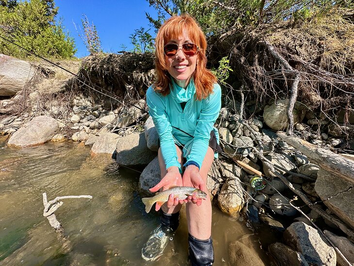 A cutthroat trout in Dead Indian Creek