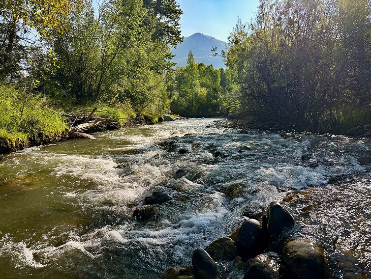 Dead Indian Creek