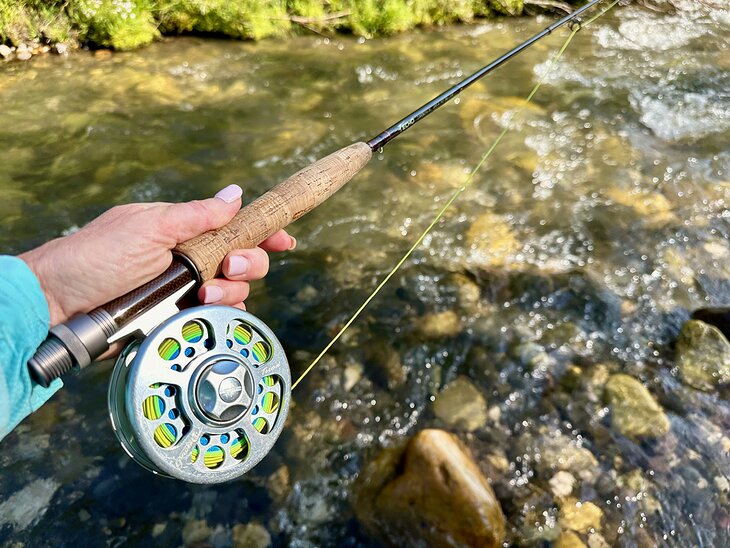 A fly reel