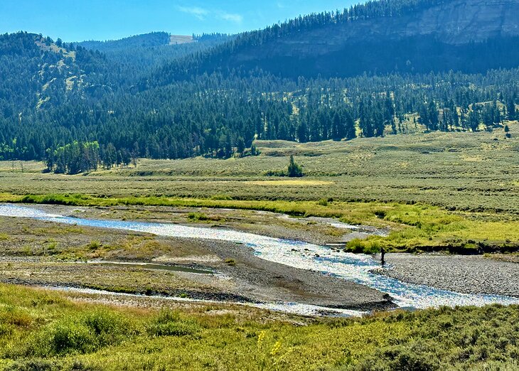 Soda Butte Creek