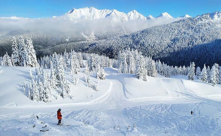 Mount Baker Ski Area