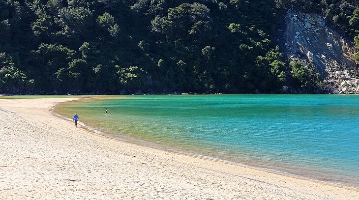 A beach on the day hike to Medlands in Abel Tasman National Park