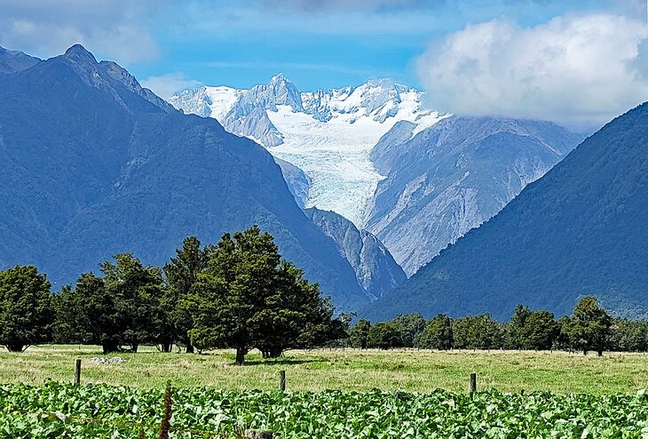 Fox Glacier from Cook Flat Road