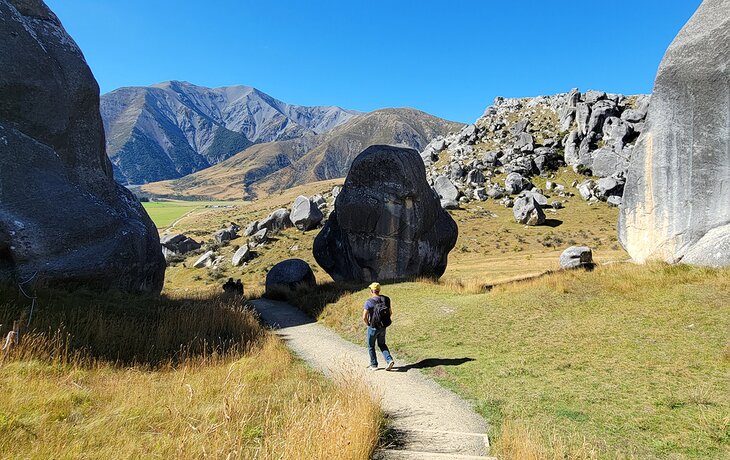  Michael Law on the short trail through Kura Tawhiti Conservation Area 