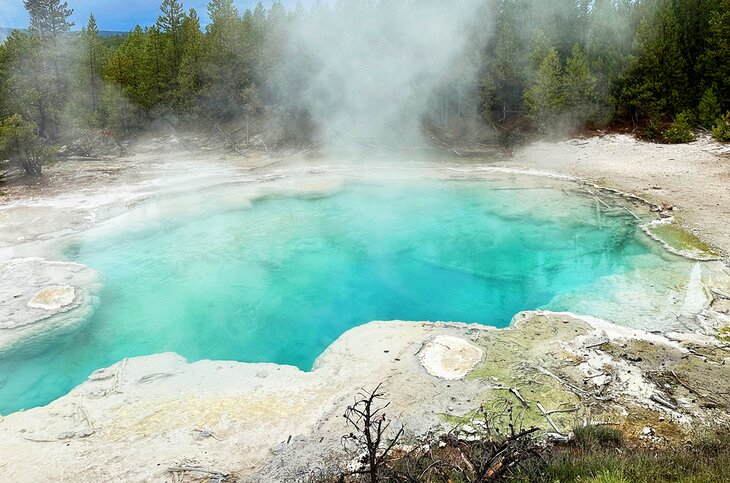 Norris Geyser Basin, Yellowstone National Park