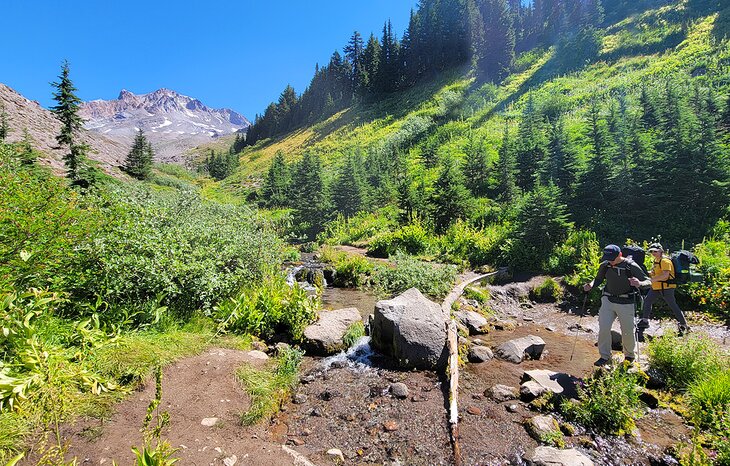 Hikers on the Timberline Trail