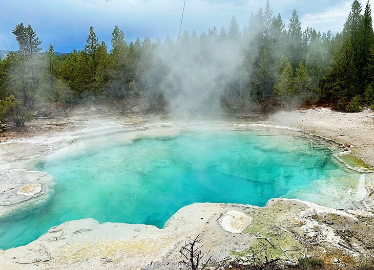 Emerald Spring at Norris Geyser Basin