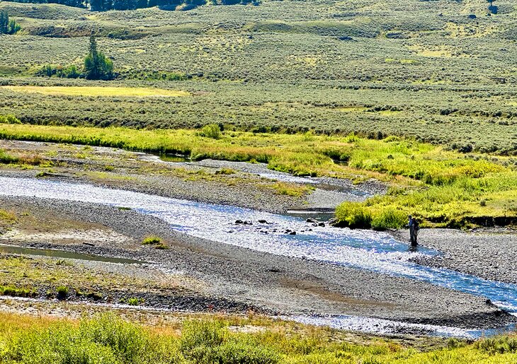 Soda Butte Creek in Yellowstone NP 