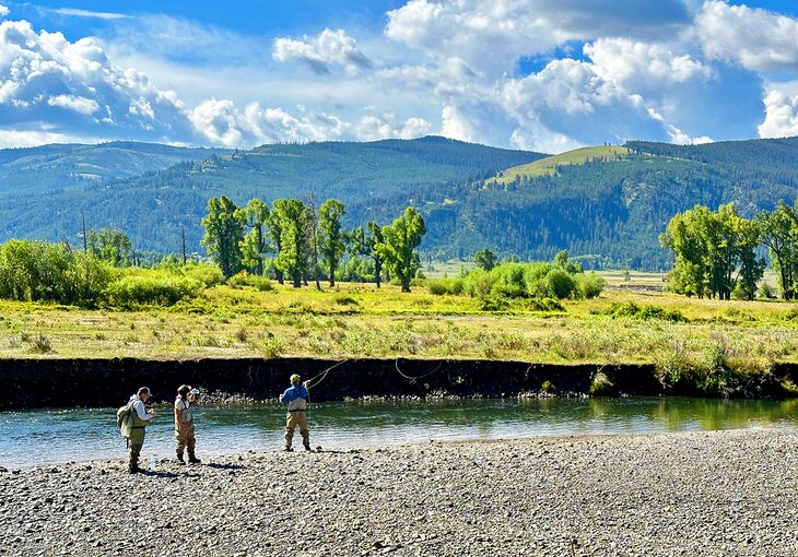 Fishing on Soda Butte Creek in Yellowstone NP